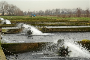 Pesca: decreto proroga al 31 dicembre 2026 l’obbligo di...